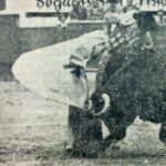 plaza de toros