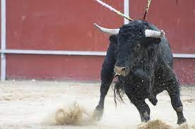 corrida de toros