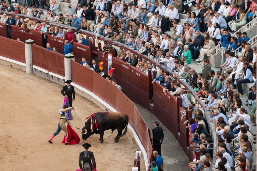 plaza de toros